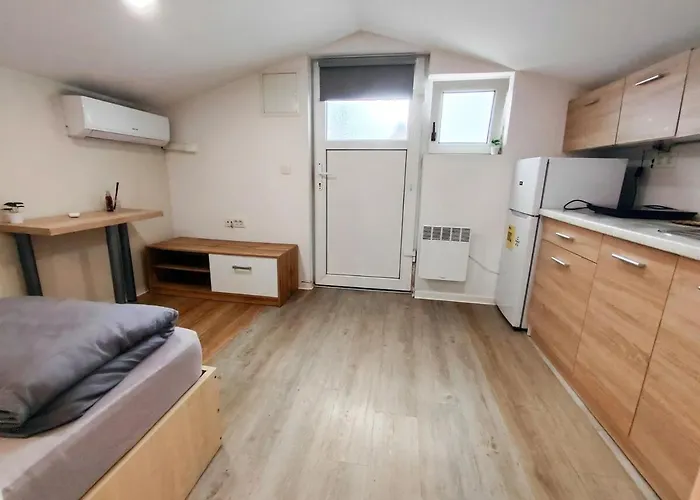 Cozy Renovated New Apartment
