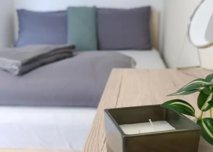 Cozy Renovated New Apartment