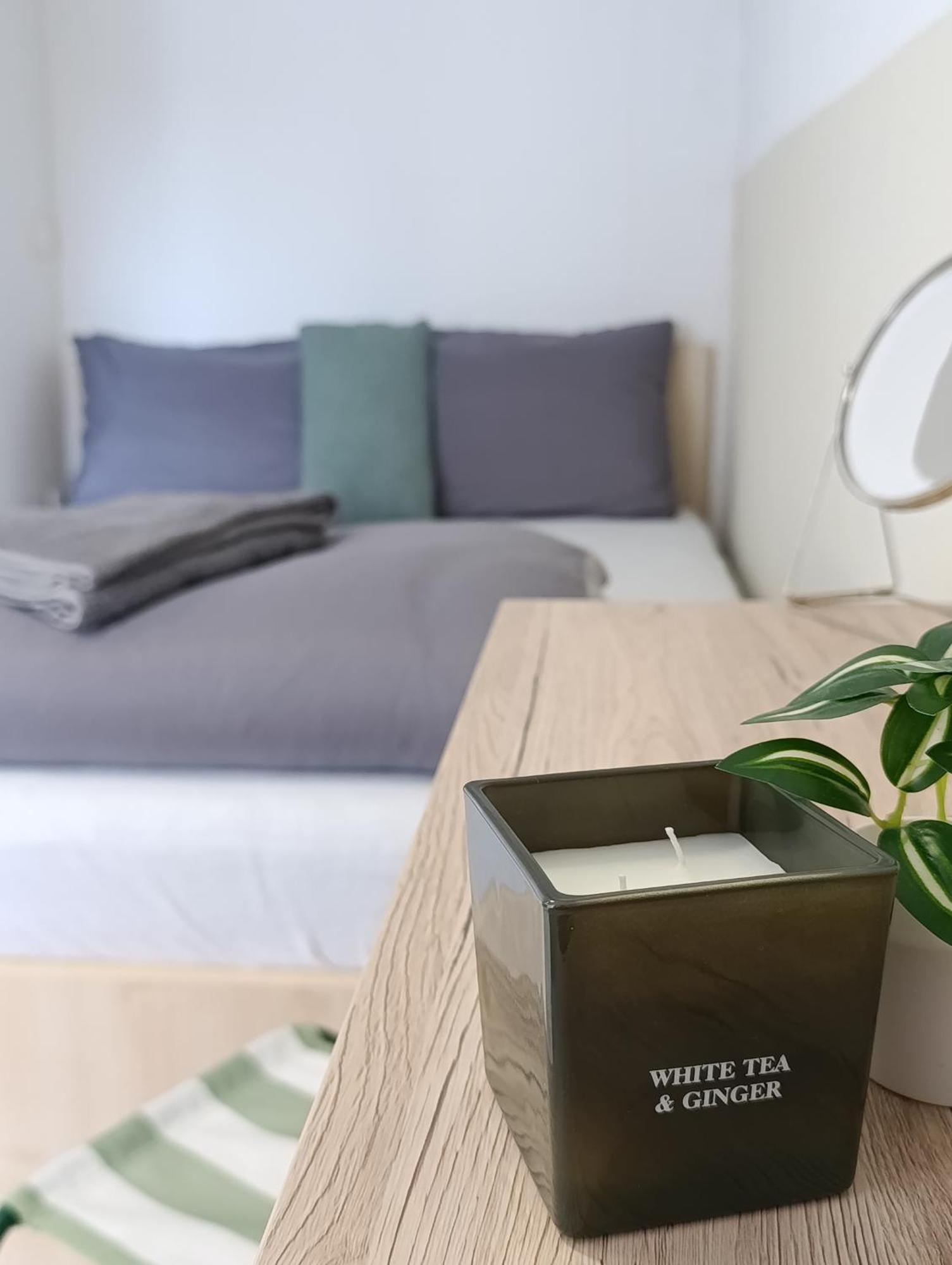 Cozy Renovated New Apartment *