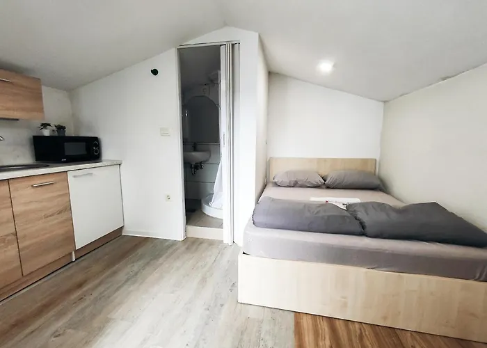 Cozy Renovated New Apartment
